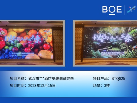湖北武漢市***酒店3樓BTQ025安裝調(diào)試完畢