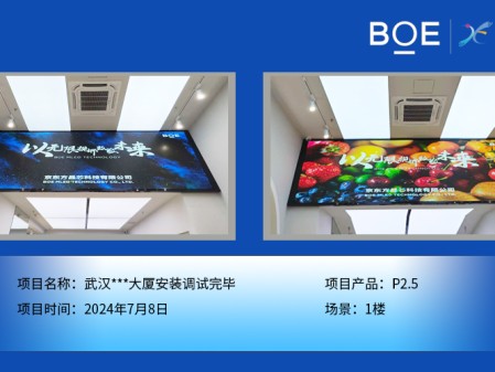湖北武漢***大廈安裝調(diào)試完畢